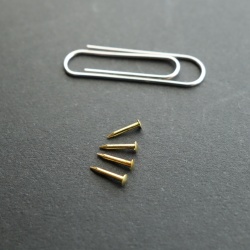 極小真鍮丸頭釘　６ミリ　♯20×6　室金物